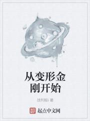 从变形金刚开始